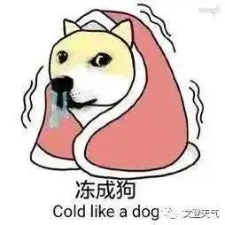 冻哭降雪大风降温天气即将来袭
