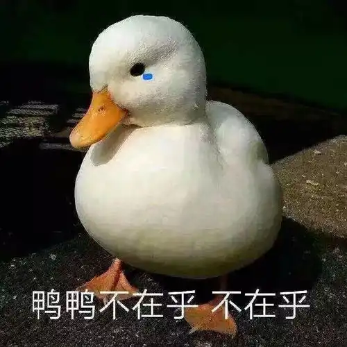 s8小组赛开赛两日,lpl恐成最大赢家