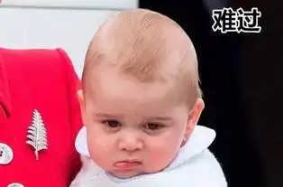 傲娇的乔治小王子英国王室行走的表情包
