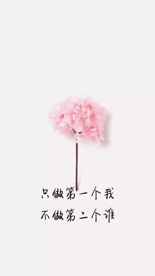 文字壁纸天青色等烟雨,我等你
