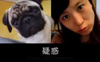管理员模仿动物搞笑照片蹿红网络
