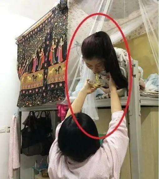 不会喂饭的室友不是好室友哈哈哈哈哈
