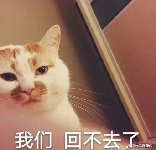 搞笑表情包图片哎呀,我,你和钱

