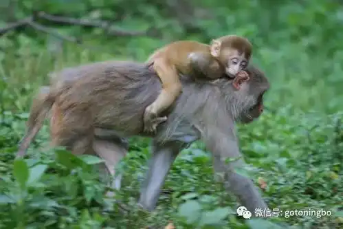 宁波周边藏了一座高颜值古城,比乌镇美比西塘静,自驾2.5h即可到达
