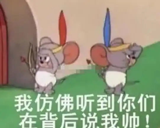 搞笑逗趣专用表情包我仿佛听到你们在背后说我帅

