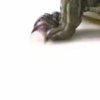 朋友圈猪八戒拼图九宫格恶搞图片高清无水印分享
