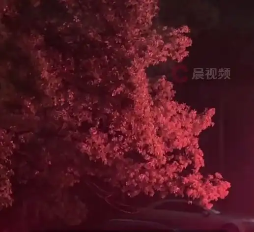 狂风暴雨电闪雷鸣突降冰雹长沙晚高峰一秒白天变黑夜
