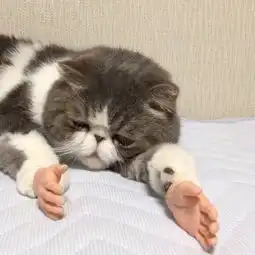 能用图逗笑你的我绝不用文字搞笑,我是认真的
