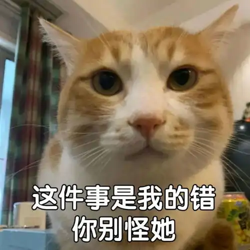 抖音最火表情包丨加油表情包图片大全加油
