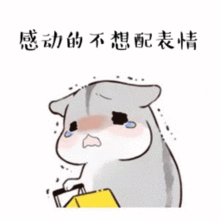 80后不配有梦想分享典型85后的我加盟肌后美妆共享感受
