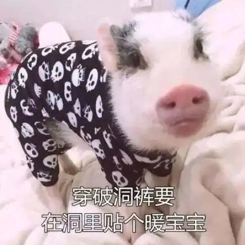 你们的养生大法真的有zhi用qian吗
