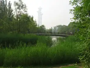 奥林匹克公园遛弯
