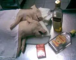 愿你快乐每一天