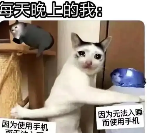 搞笑图片晚上的我了不起,早上的我起不了
