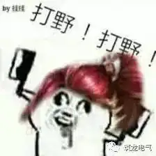 王者荣耀电气版大兄弟,排位不
