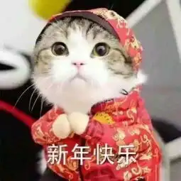 新年快乐表情包可爱版
