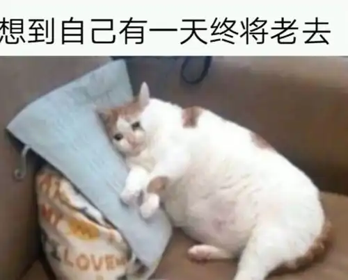 搞笑趣图指甲要四十多年才能降解,那么你剪下的每一块指甲都还在某个角落
