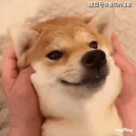 忙碌了一天的小姐姐,这里有一份快乐请你查收