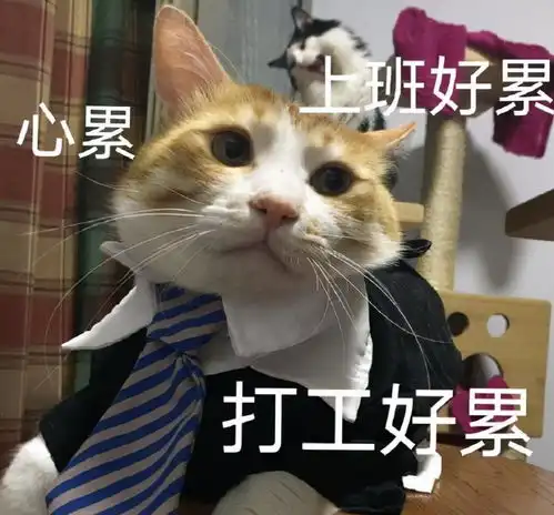 反内卷第一组合大湾区哥哥yyds
