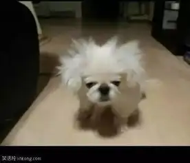 搞笑图片说的太精辟,献给股票暂时被套的票友们
