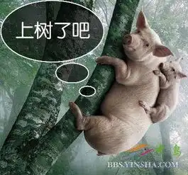 母猪真的可以上树吗我想见证一下
