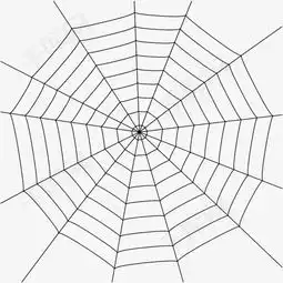 手绘黑色卡通蜘蛛网素材图片免费下载高清png千库网图片编号9562397
