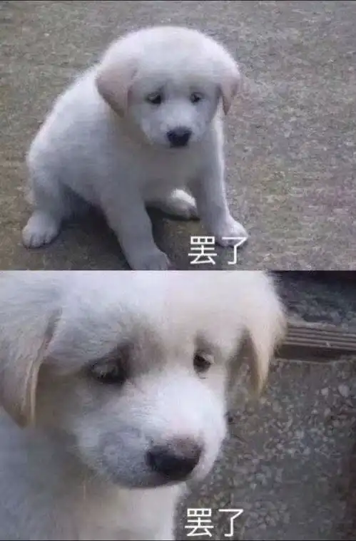 哈尔滨出行怎么样最划算
