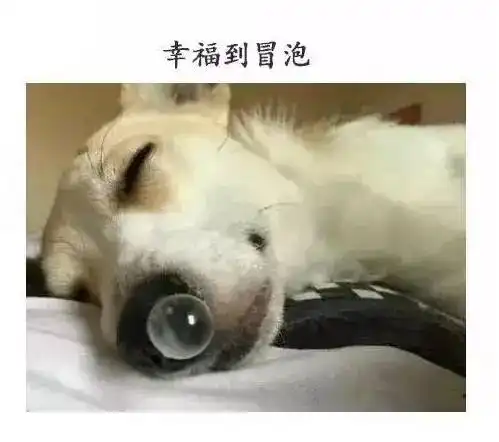 你遇到过最搞笑的图片是什么看完笑疯了
