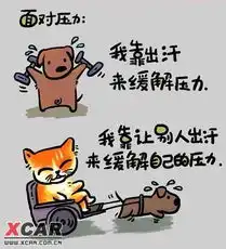 雷霆f26的相片
