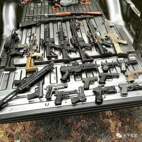 热血丨肾上腺素爆表很多人喜欢它们超过萌妹子
