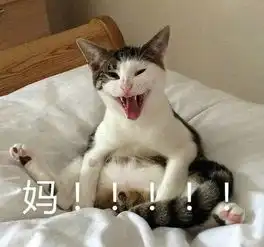 这套表情发给妈妈母子情分就算尽了