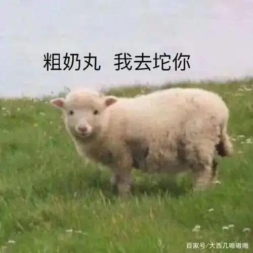 速看这个地区诸多景点仅对福建人免费开放背后的原因是
