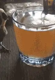 搞笑gif趣图美女,做个饭,你搞这么大的动作,真的不是一般人
