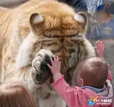 摄影师抓拍奇妙瞬间错过一秒好景就不再组图
