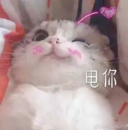 哪些美瞳值得推荐呢
