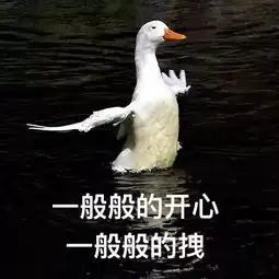 火遍全球,这3双短靴hin显高