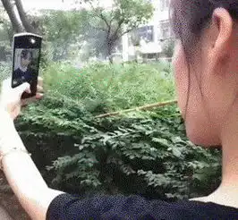 轻松一下姑娘,嘴里吃的是啥