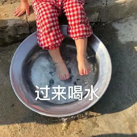 熊猫头交头接耳悄悄话动图表情包动图悄悄话表情
