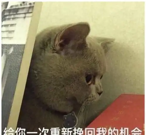 傲娇喵星人表情包第二弹朕这样很好,不要你管