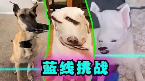 爆笑解说狗子蓝线挑战失误,你能忍住不笑吗
