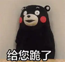 大哥给跪了表情包soogif

