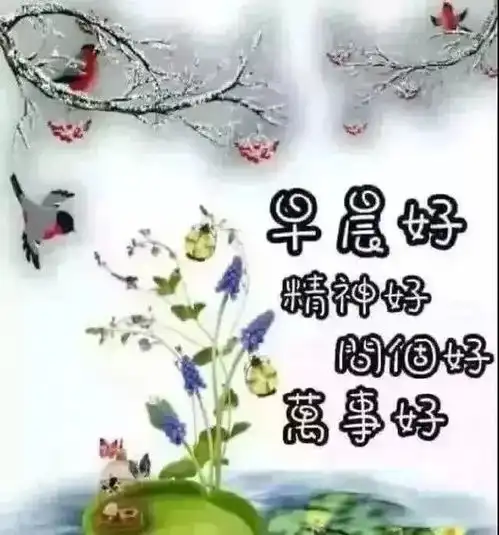新的一天祝福朋友早上好问候的图片,很阳光的励志早安短信问候
