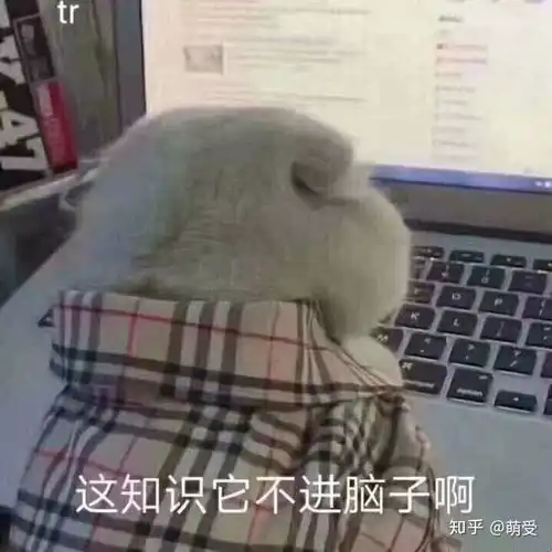 大佬们有没有爱学习的表情包贡献一波
