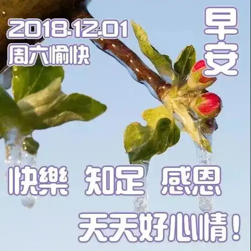 12最新漂亮早晨好动态表情图片12月早安问候图片带字温馨
