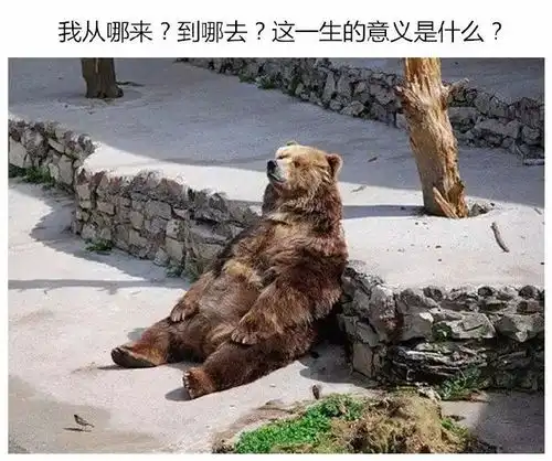 给图片配上神一样的文字,专治职场困倦哈哈哈
