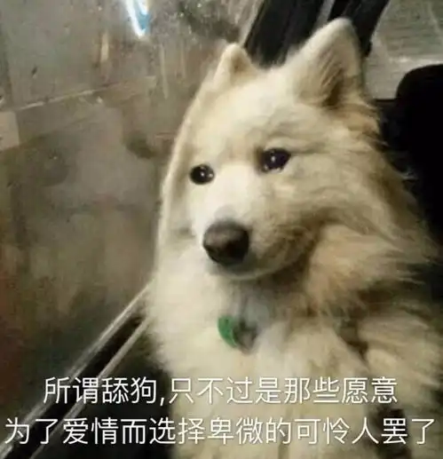 爱情的卑微,都在那些年我们听过的舔狗情歌里2
