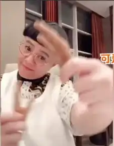 组图金龟子刘纯燕迎53岁生日对镜10连拍搞怪可爱无岁月痕迹
