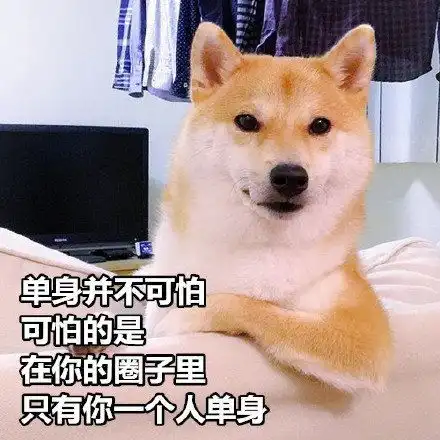 表情包来自单身狗的呐喊