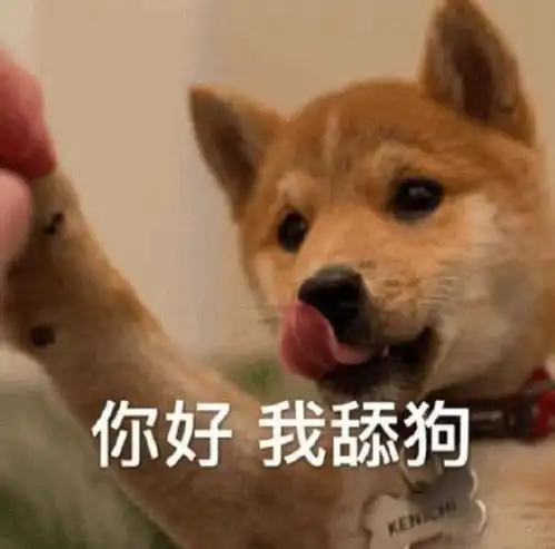 很甜很撩的表情包,第4张杀伤力极强,女生瞬间红了脸