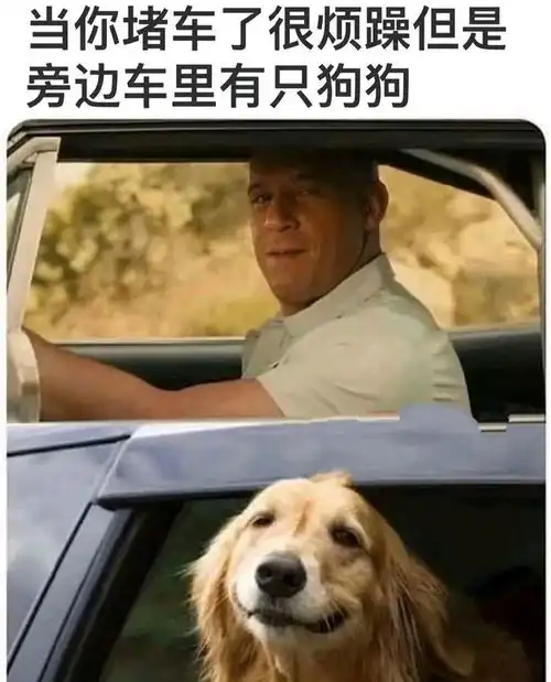 搞笑趣图狗狗被人类驯服前vs被驯服后
